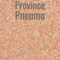 Province Pneumo