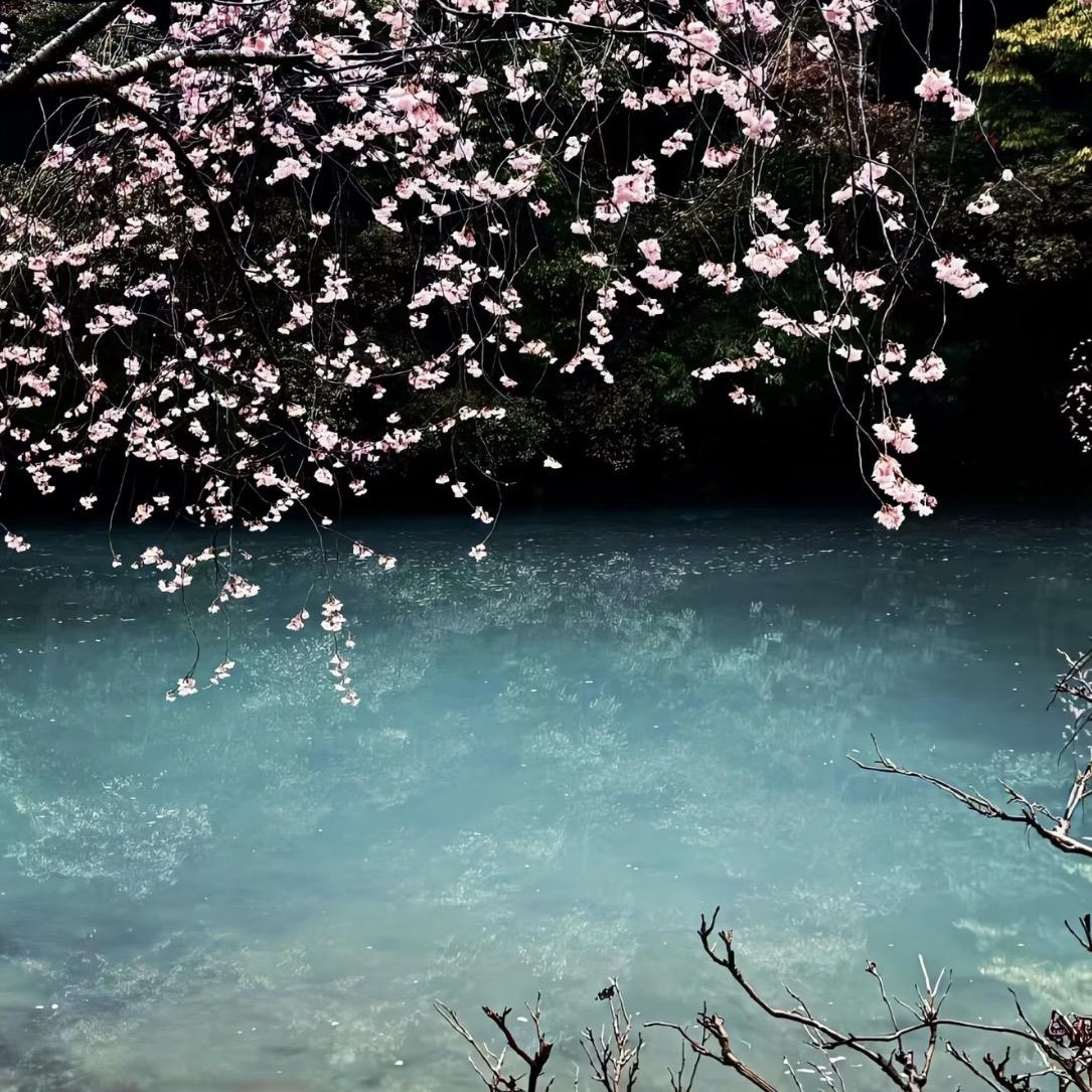 花开的时候你就来看我 - 温屿封面