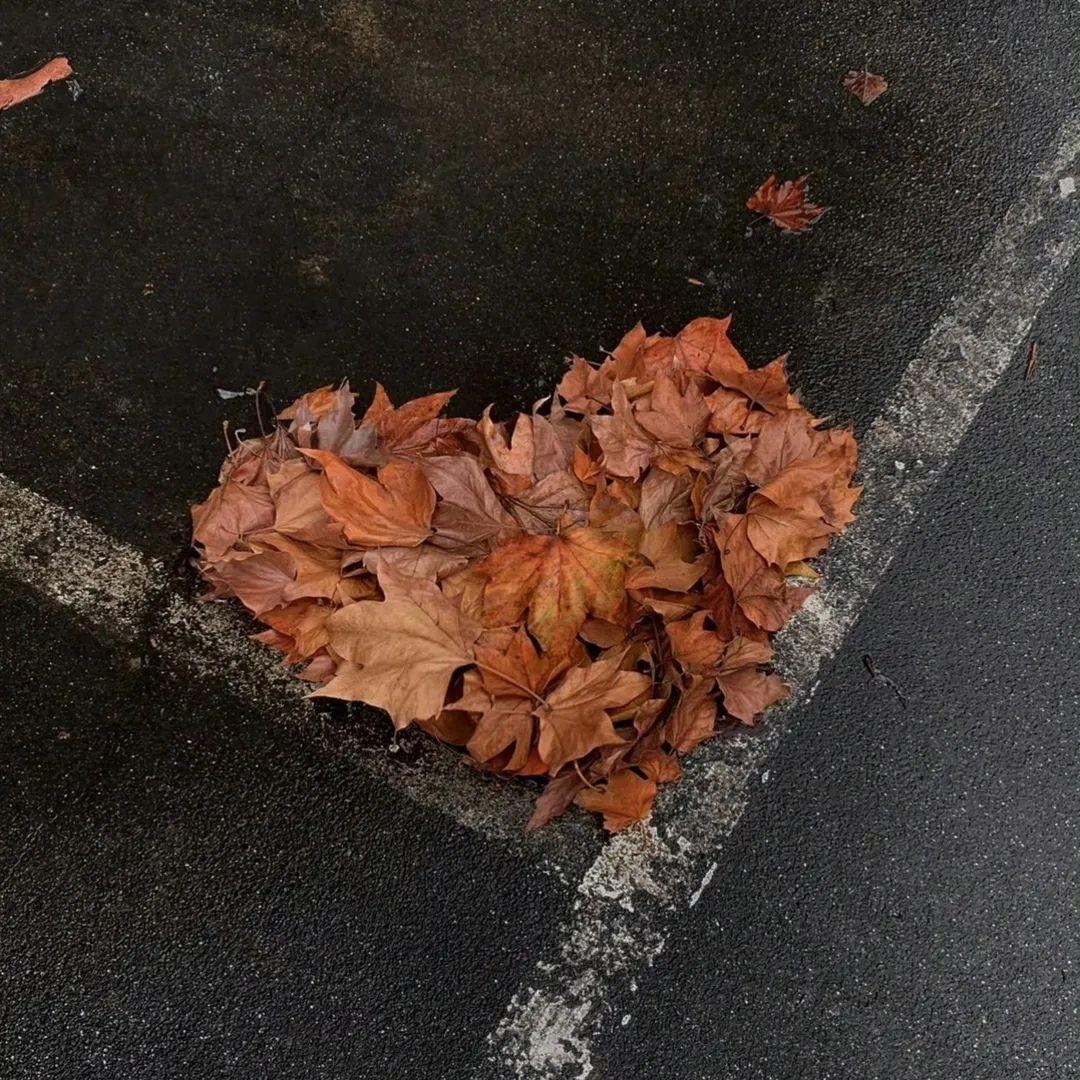 我还记得那天封面