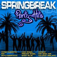 Spring Break - Party Hits