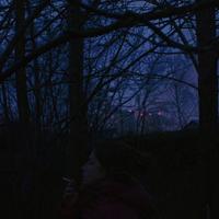 Joshua - I Really Want to Stay at Your House