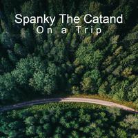 Spanky The Catand