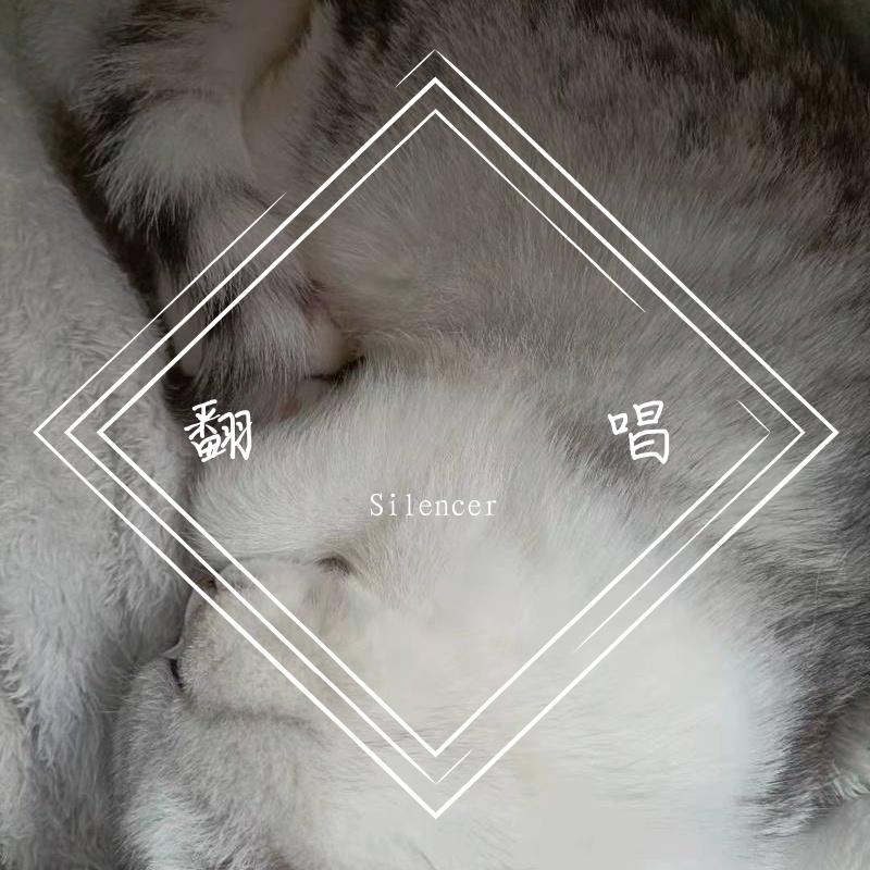 拯救封面