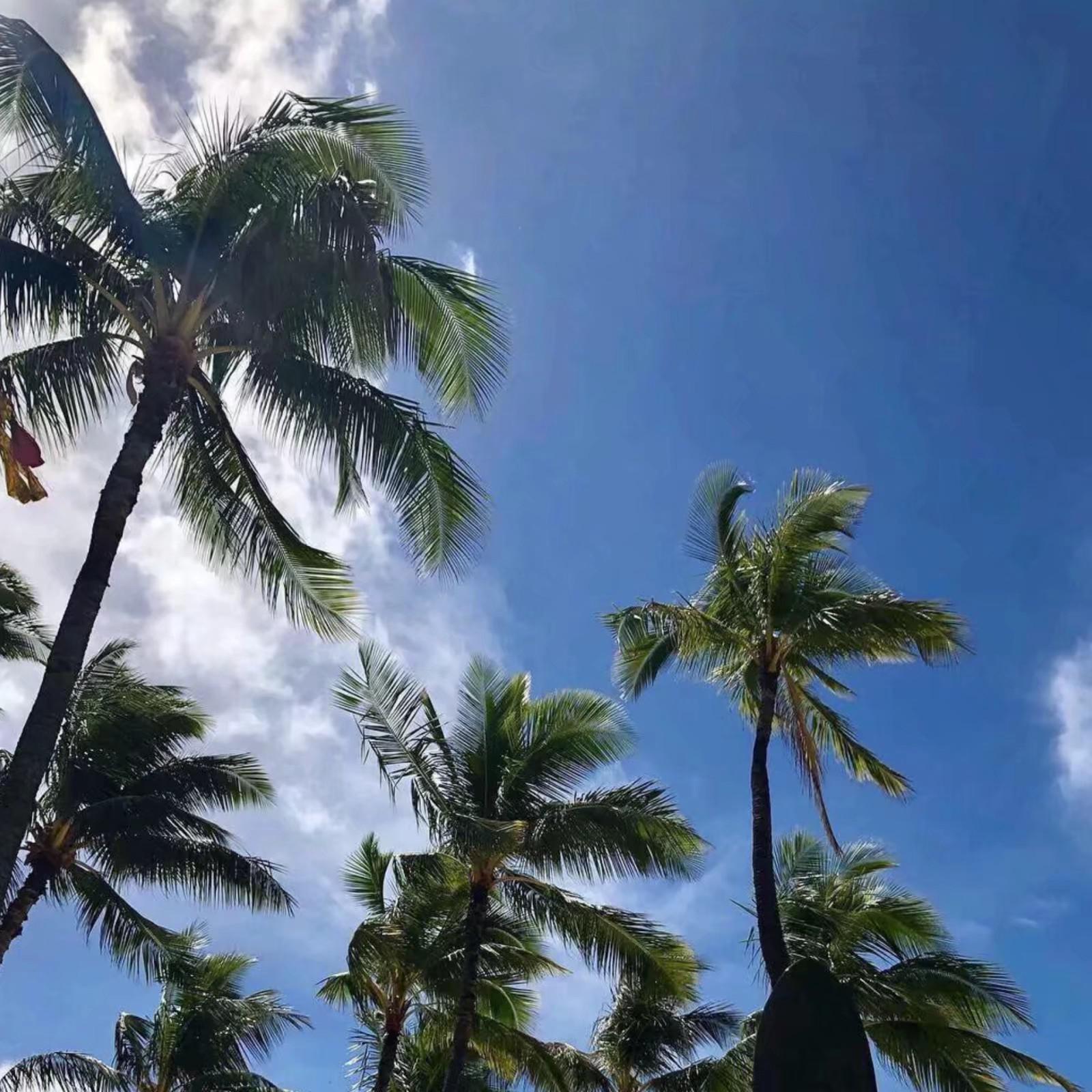 Adele-Hello（Bourbon9 / 念宸 / HETR remix）