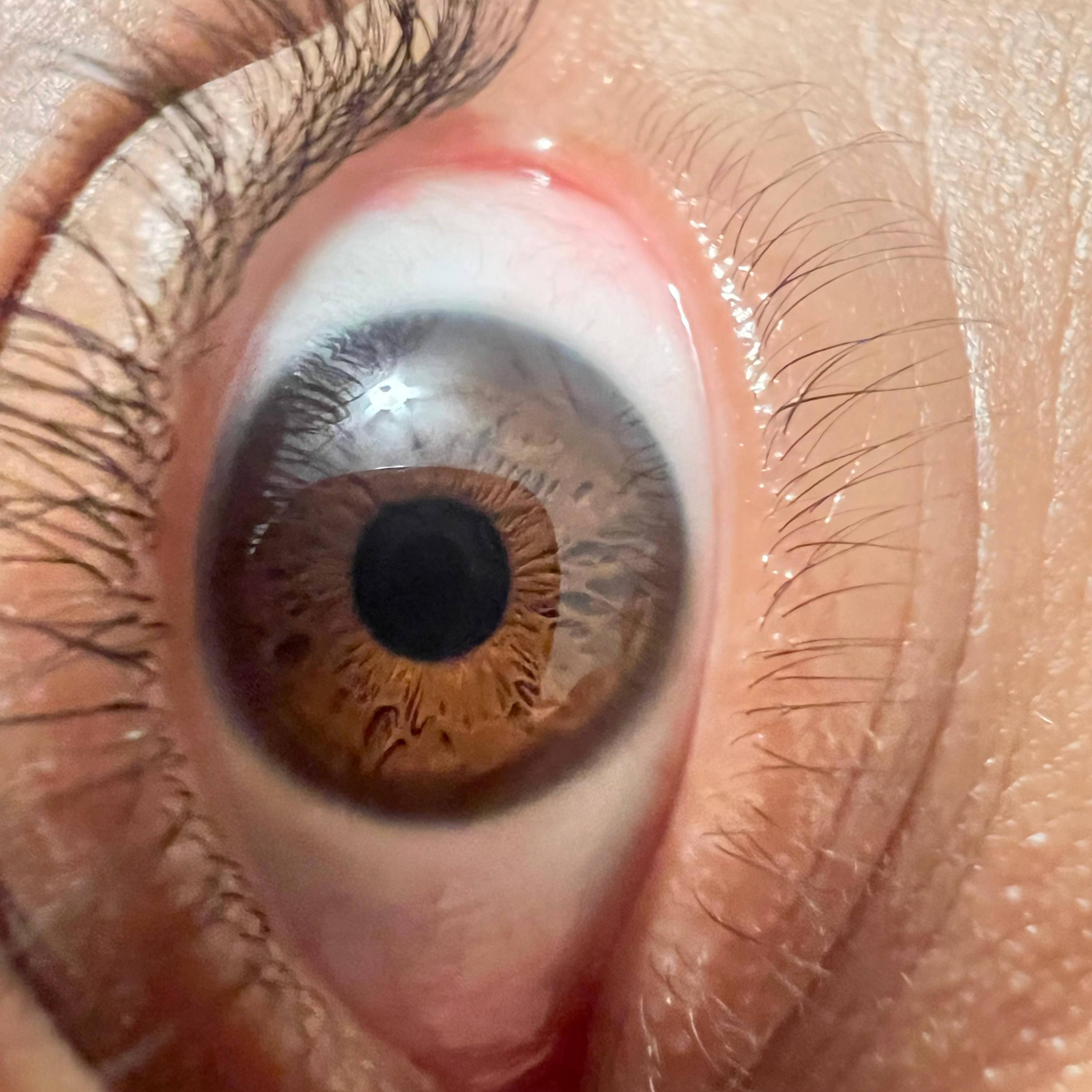 Basking in Harmony (feat. Prod. Vswervii & BallLikeMJ)