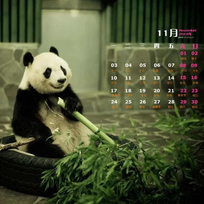 菠萝蜜多心经封面
