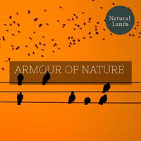 Armour of Nature