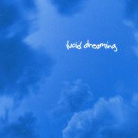 Lucid Dreaming