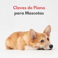 Claves De Piano Para Mascotas