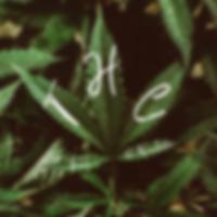 THC (feat. Q. Winchester)