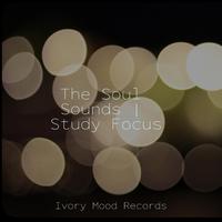 The Soul Sounds | Study Focus