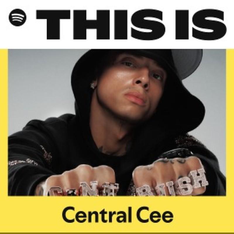 Central Cee 音乐全纪录（Spotify）
