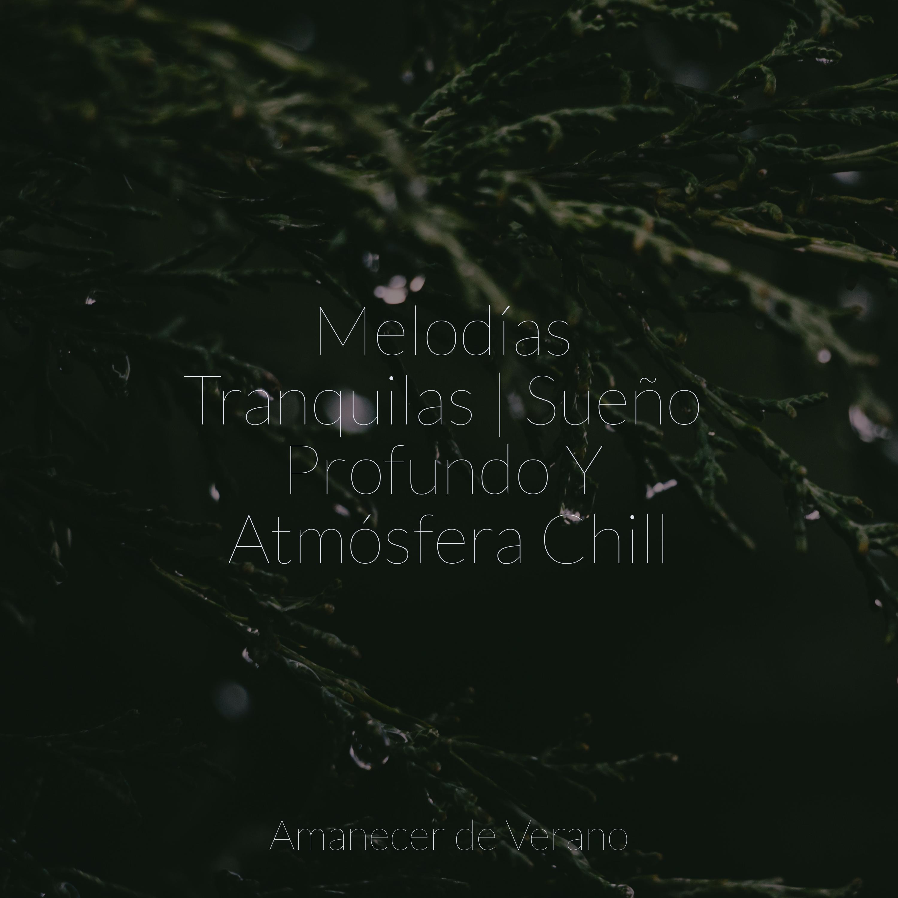 Armonía del Abrazo del Amanecer