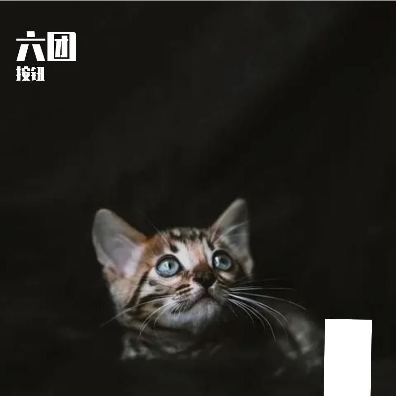抹了蜜封面