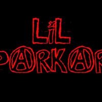 Lil Parkar