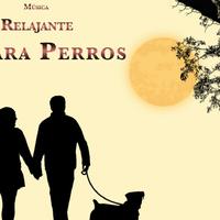 Música Para Dormir A Los Perros