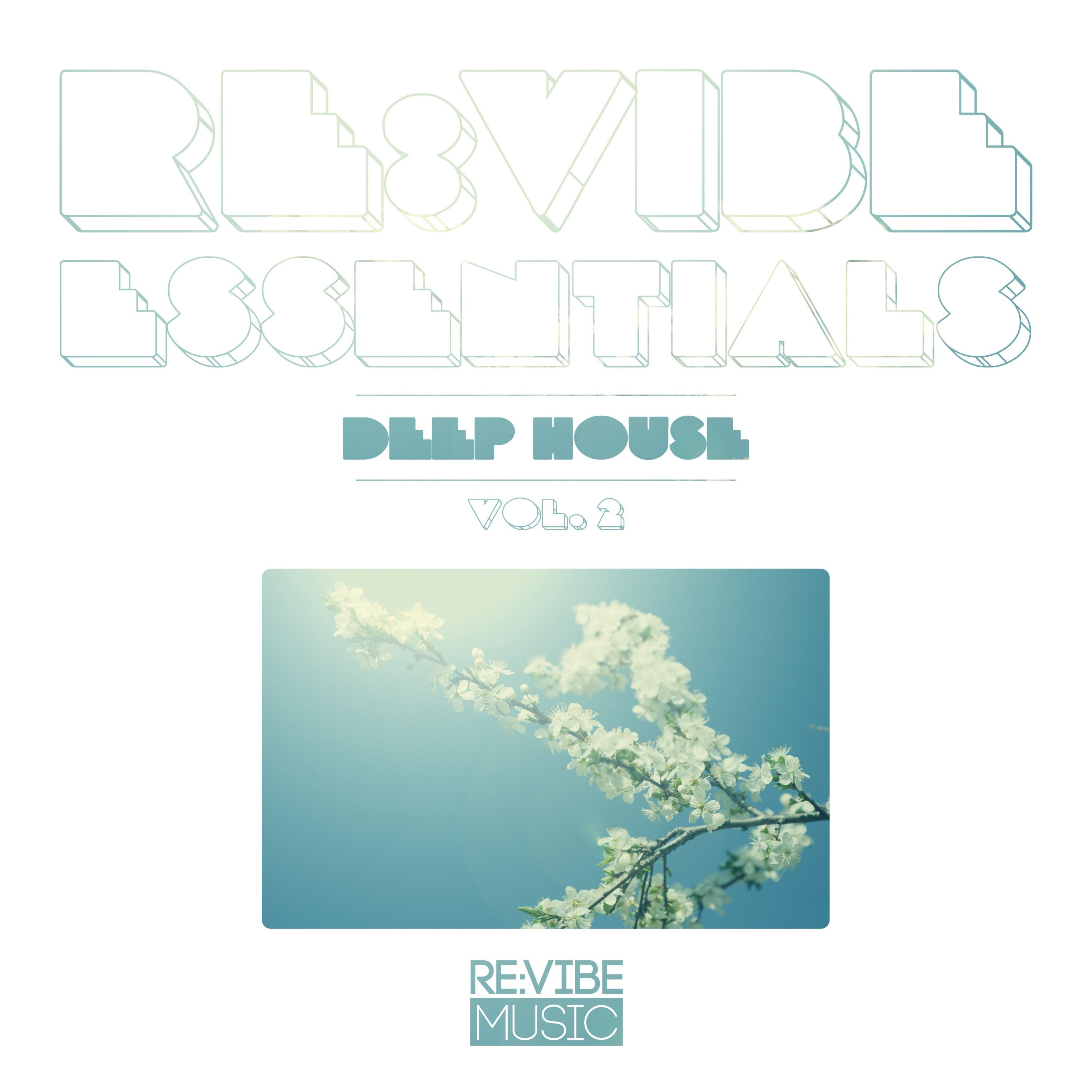 Without (Original Mix)