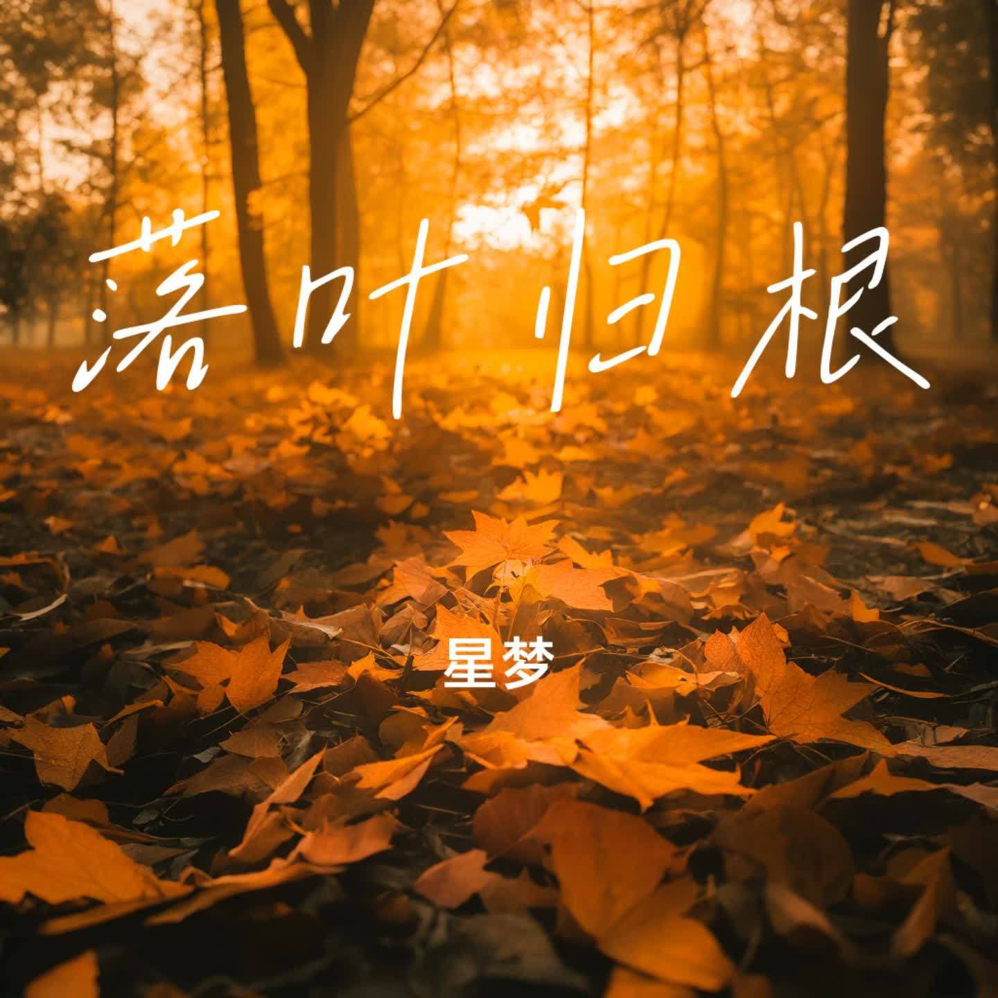 落叶归根封面