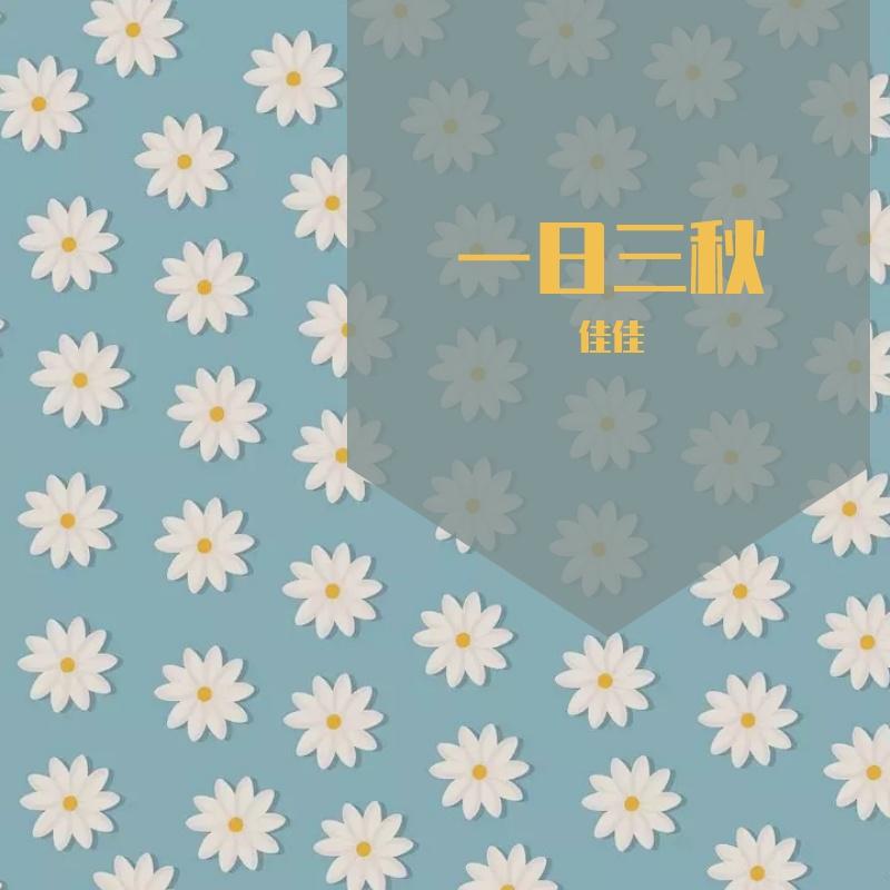 一箭双雕 （BGM版）封面