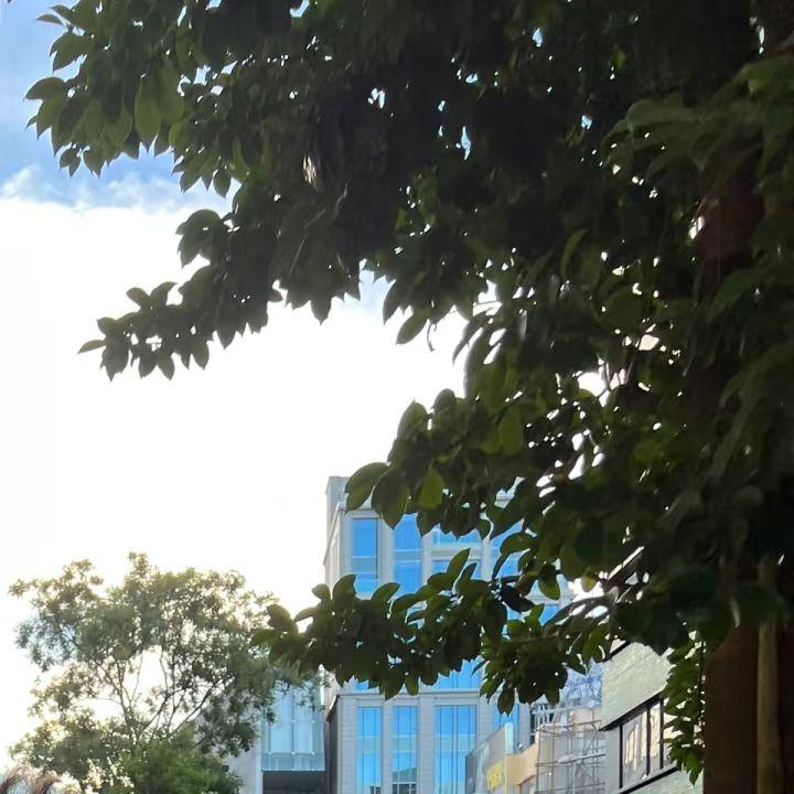 期许封面