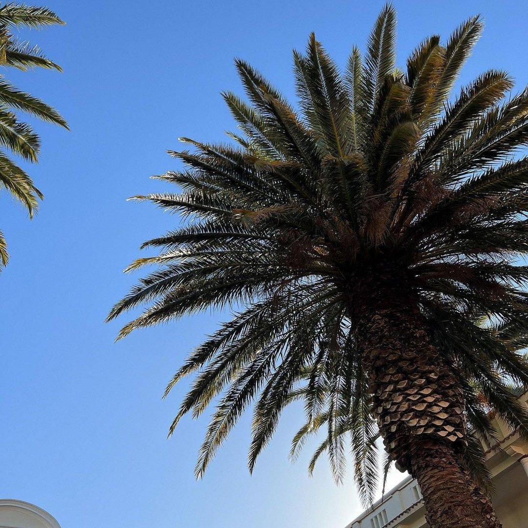 Stage Rockers-Im Waiting（Pcpo remix）