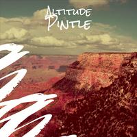 Altitude Pintle