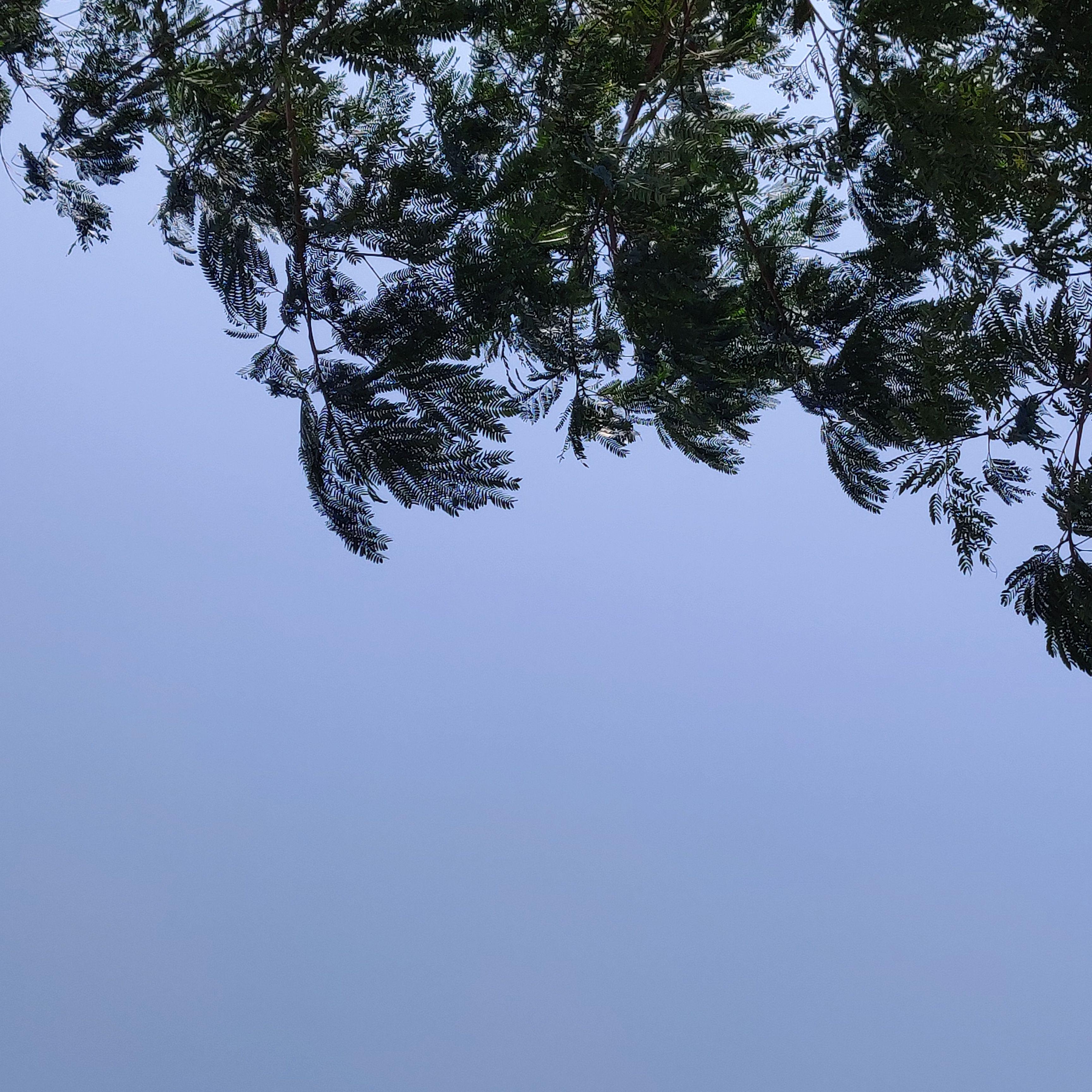 嘘~小 秘 密　｀｀　Little secret