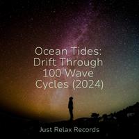 Ocean Tides: Drift Through 100 Wave Cycles (2024)