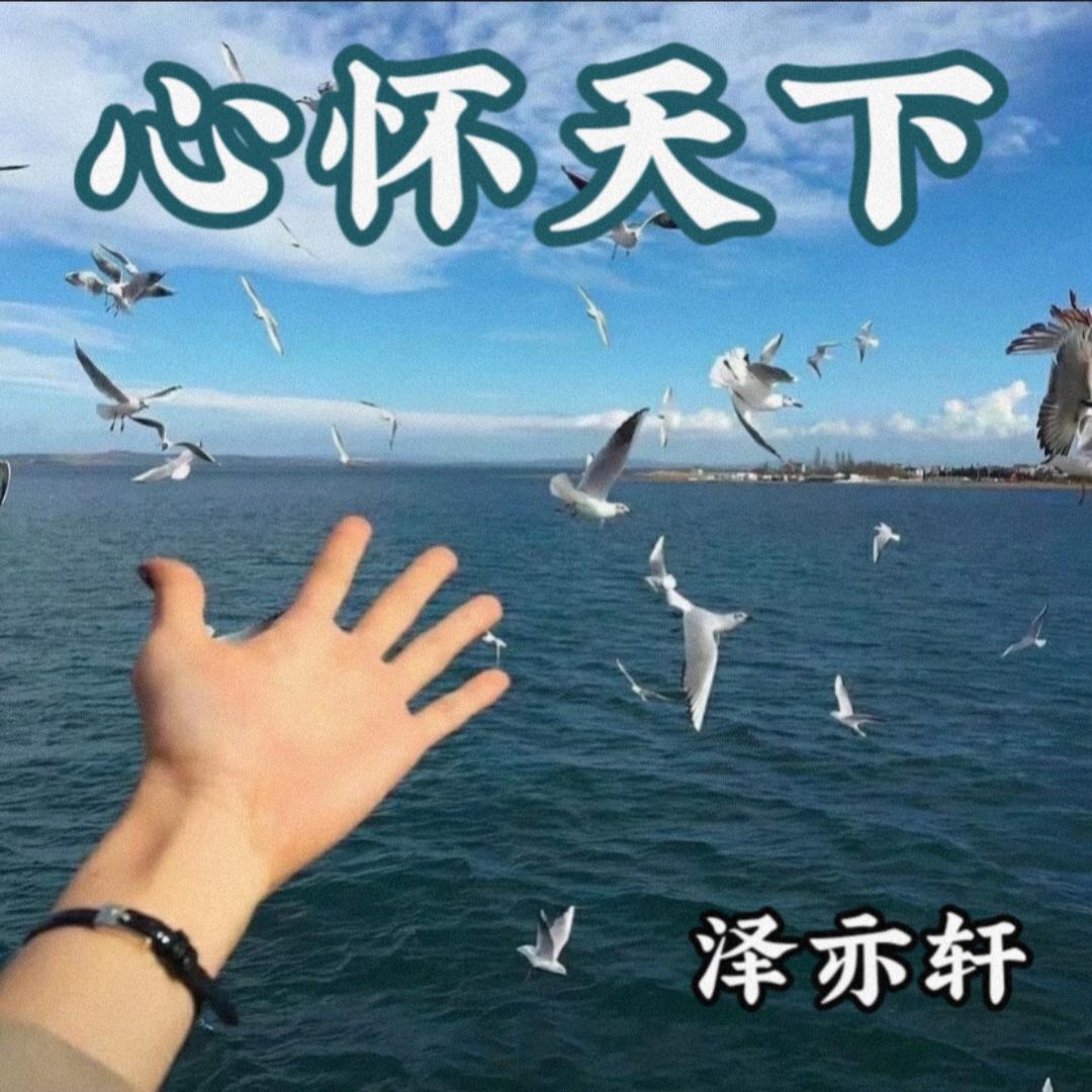 情路弯弯情路漫漫封面