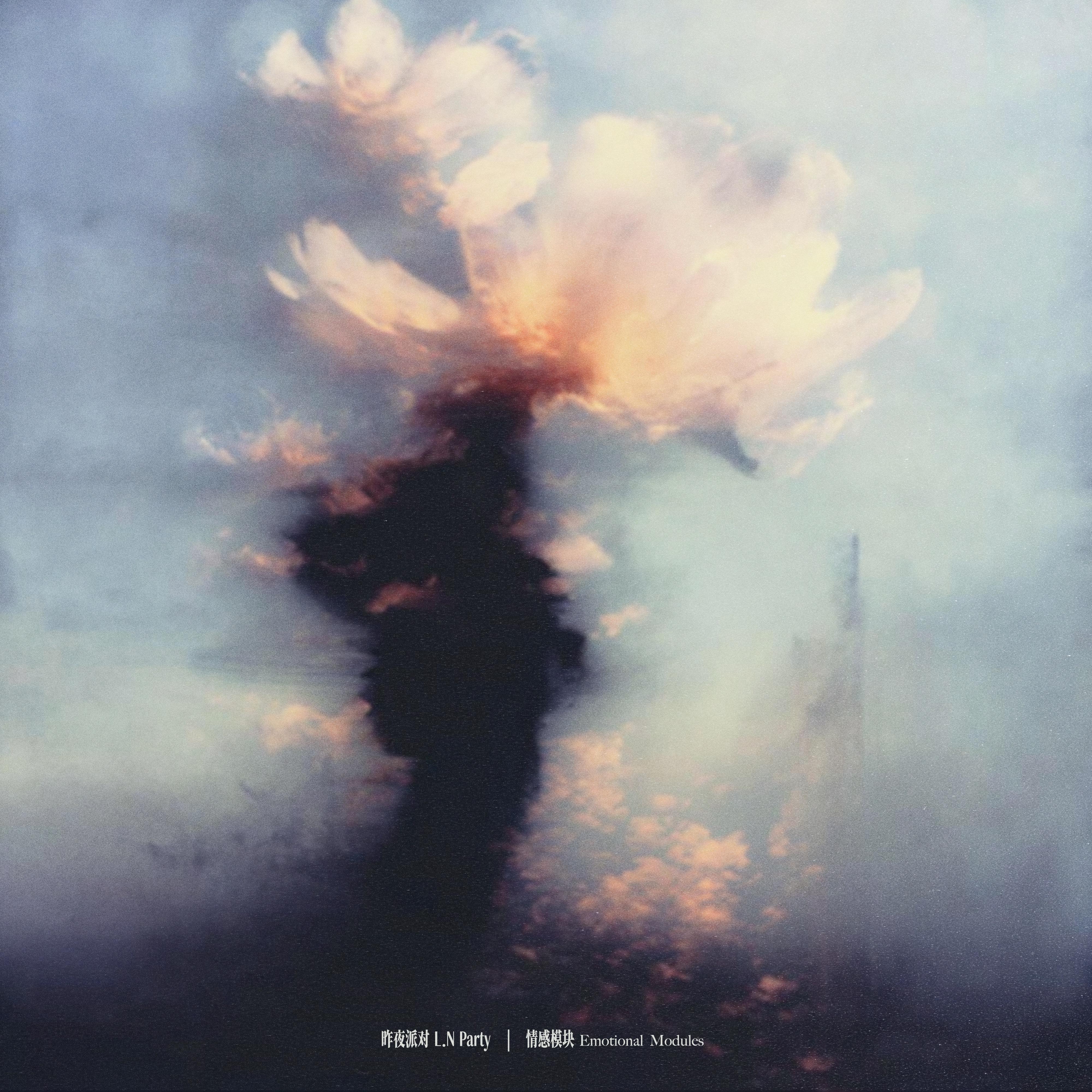 昨夜派对（L_N Party）-《情感模块》