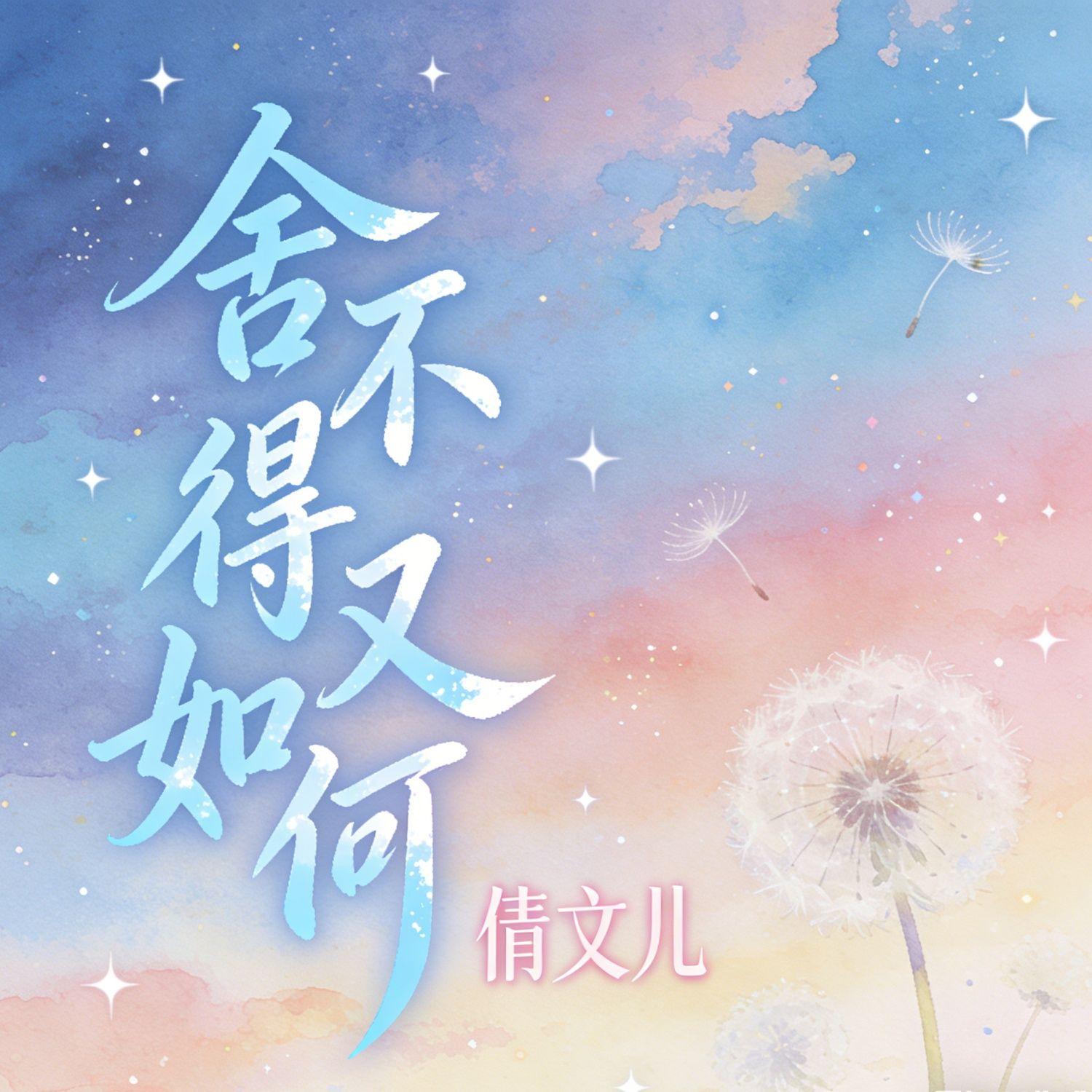 舍不得又如何封面