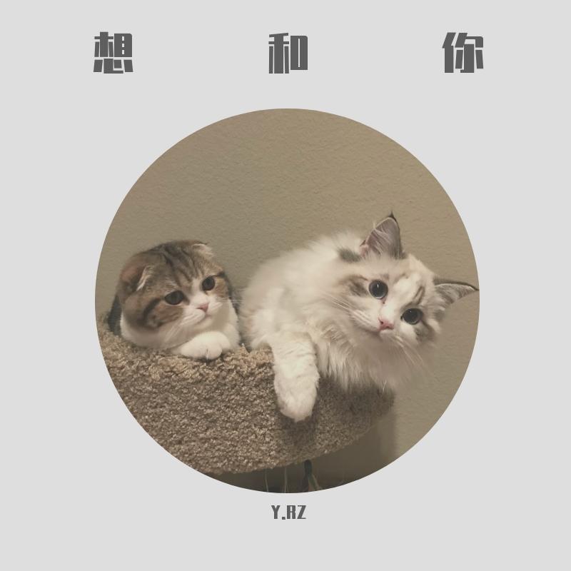想和你_Y.RZ_想和你 | 在线播放_想和你歌词_想和你下载 | 网易云音乐