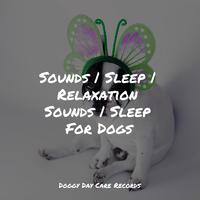 Sounds | Sleep | Relaxation Sounds | Sleep For Dogs