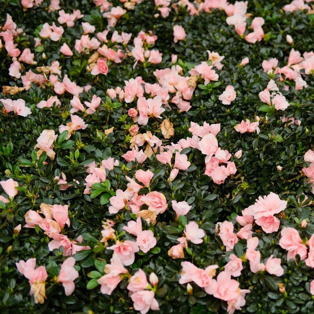 掌控当下，遥望未来。