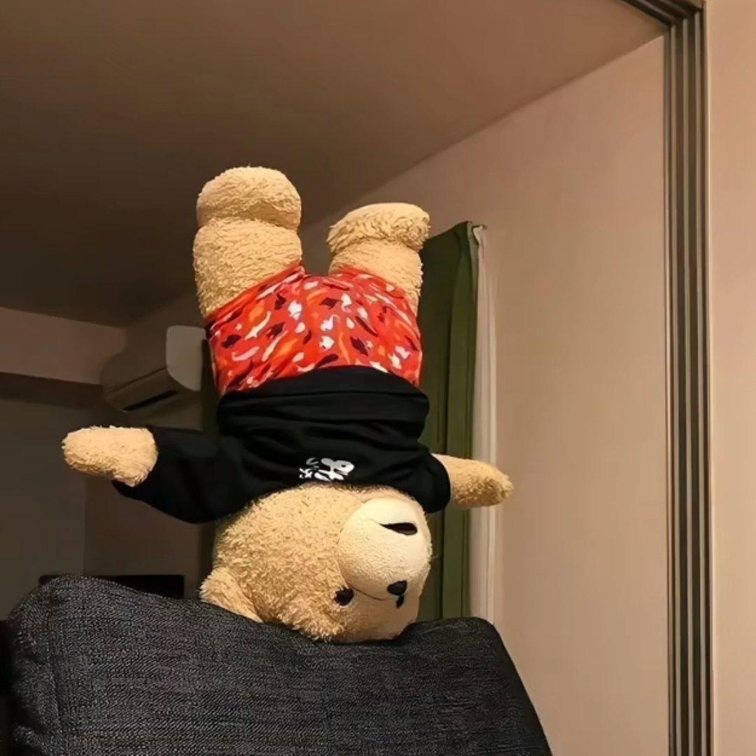 固执的派大星233