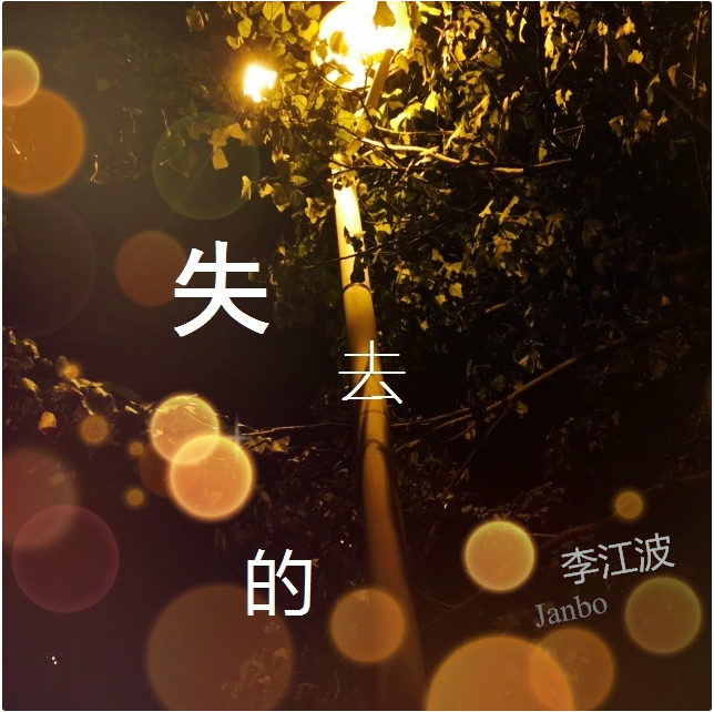 失去的封面