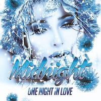 One Night In Love