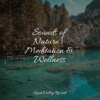 Sounds of Nature | Meditation & Wellness