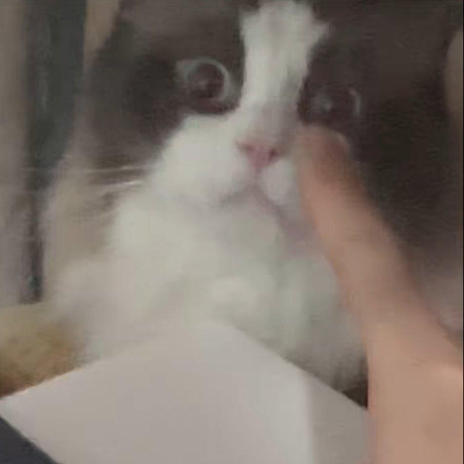 马呜呜抖音re过的歌