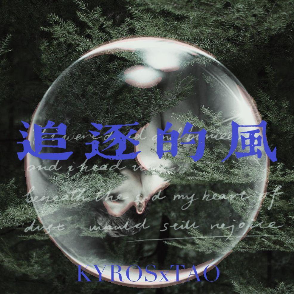 追逐的风封面
