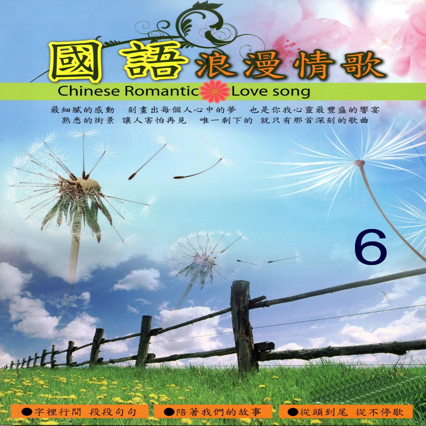 我為你傷心封面