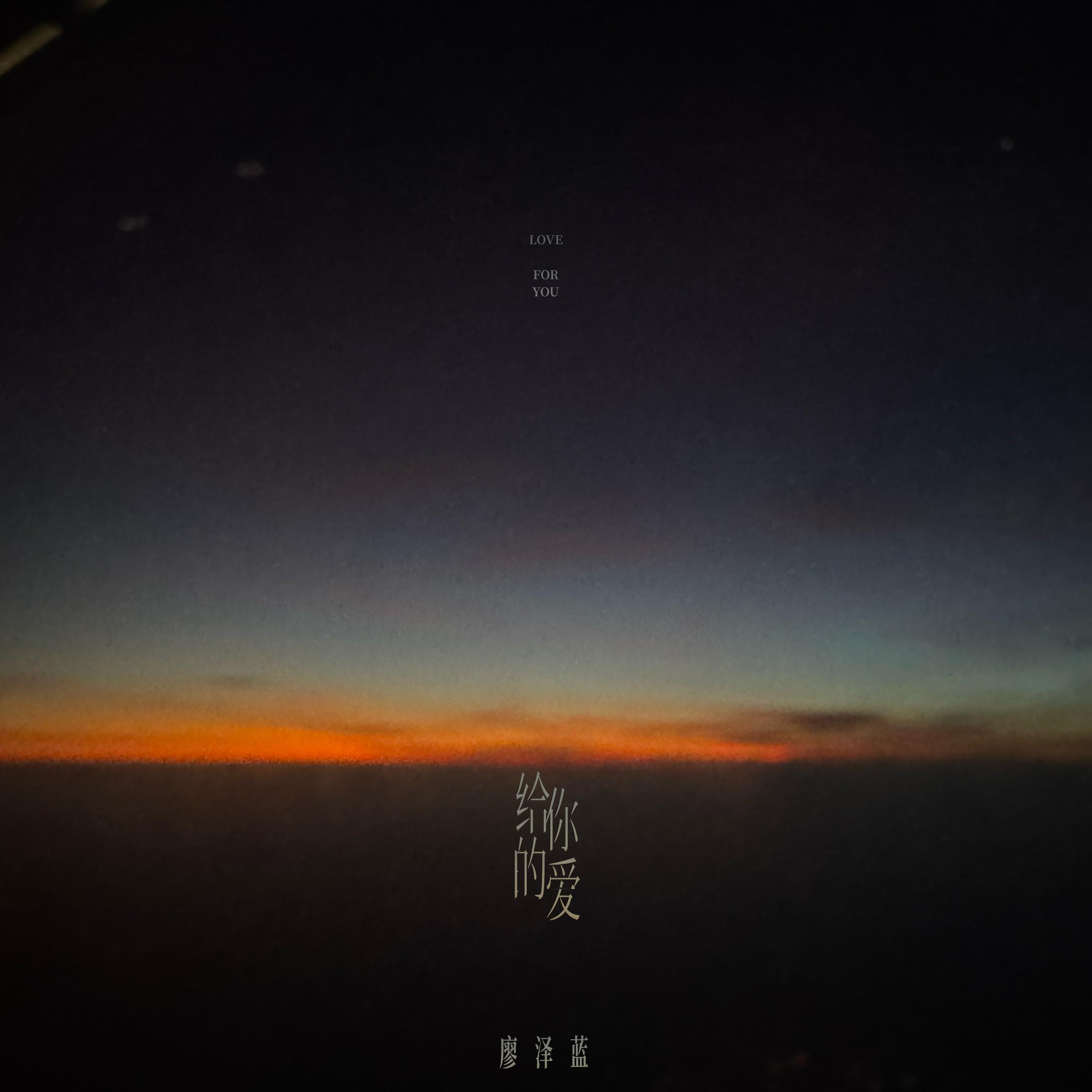给你的爱封面