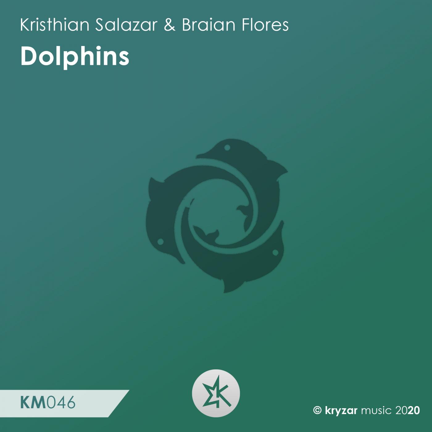 Dolphins (Original Mix)封面