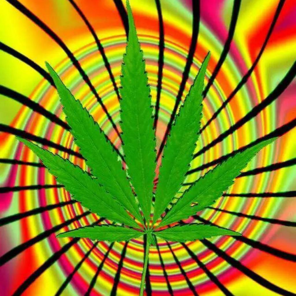 Back 2 Da Underground