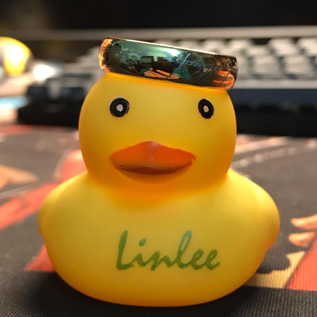 神树神树神树树树_