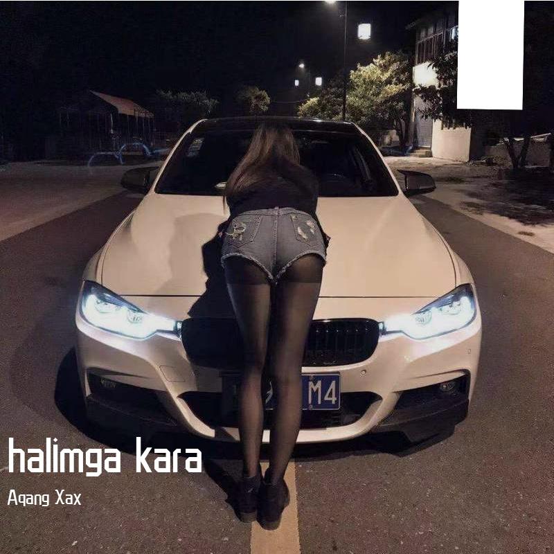 Holimga Qara吉他版