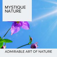 Mystique Nature - Admirable Art of Nature