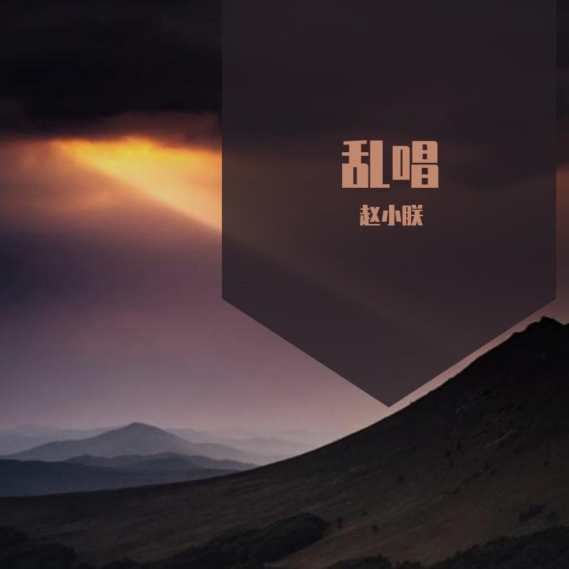 sikt封面