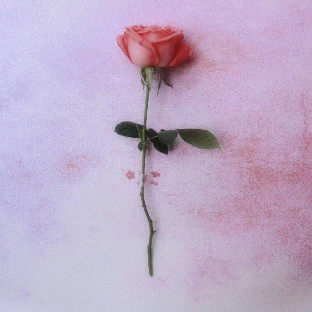 song-img