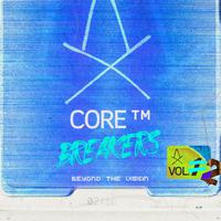 Beyond the Vision Records